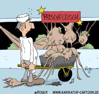 Karikatur, Cartoon: Fleisch, © Roger Schmidt
