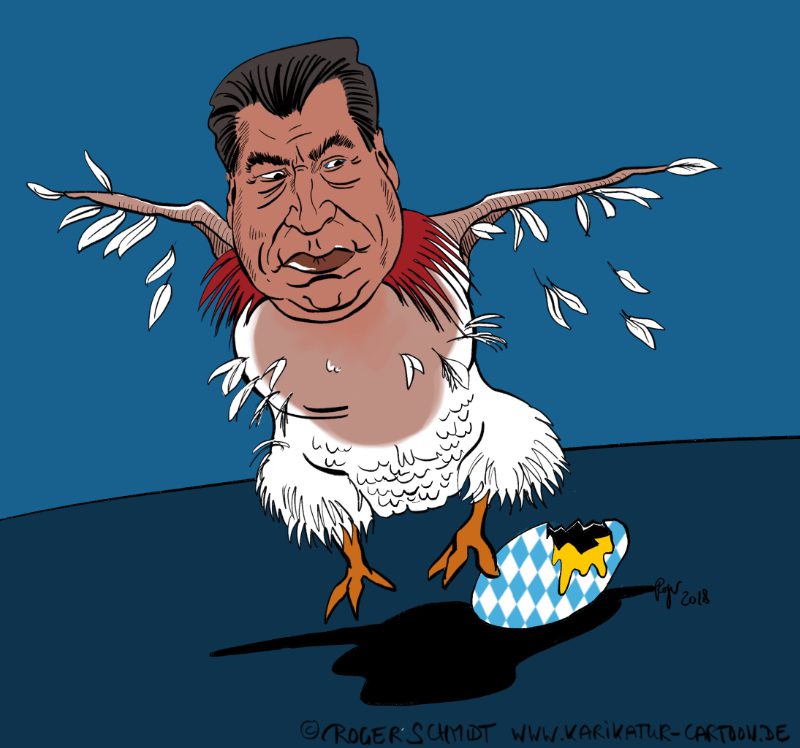 Karikatur, Cartoon: Söder nach Wahl in Bayern gerupft, © Roger Schmidt